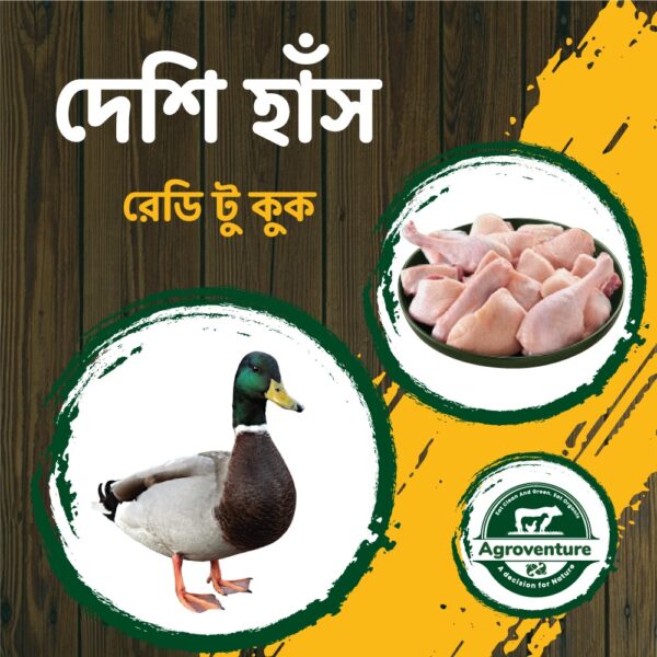 agroventures দেশি হাঁস – ১ কেজি (~৯০০ গ্রাম)