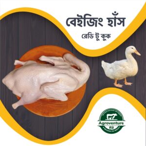 বেইজিং হাঁস (২.৫ – ৩.৫ কেজি)