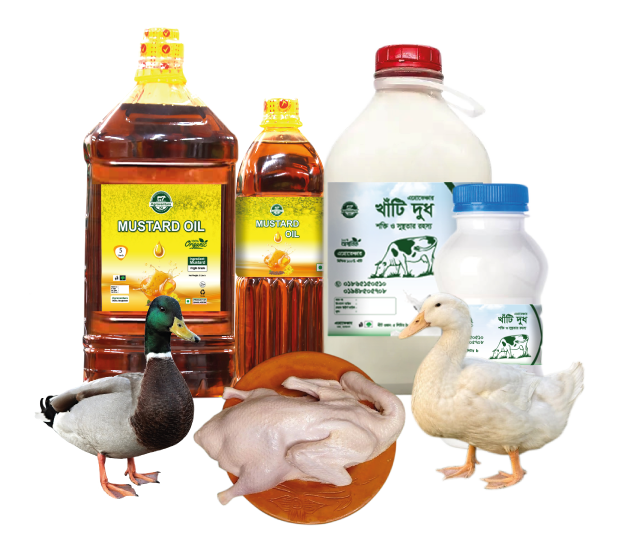 product image design